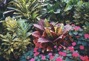 Alejandro created floral architecture for the hacienda's patios and grounds