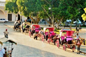 Calesas -manually or animal pulled - are a popular way in Izamal to travel. Here they are lined up in the square in front of San Antonio de Padua Convent. © 2020 Jane Simon Ammeson