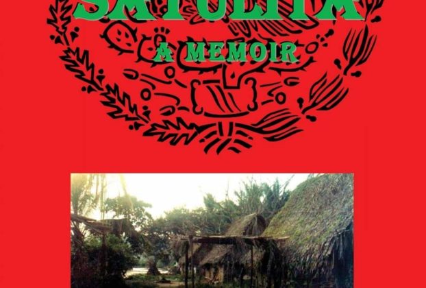 Robert Richter - cover of Sayulita