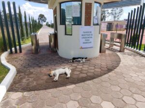 Entrance to UIEM - Entrada a la UIEM © 2021 James Musselman