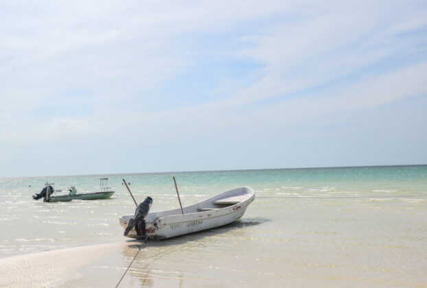 Fishing boats sit idle on the beach, Isla Holbox, Mexico © Ryan Biller, 2021