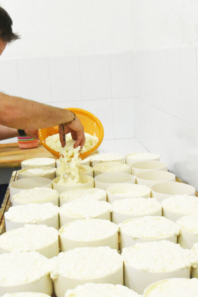 Manuel Zago putting the cheese in molds. © Joseph Sorrentino, 2023