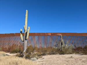 Saguaro at Border Wall © 2023 Allan Wall.