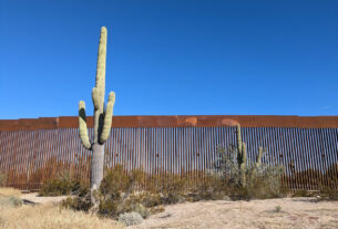 Saguaro at Border Wall © 2023 Allan Wall.