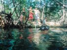 Cenote Xel Ha © 2025 Jane Simon Ammeson.