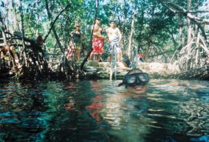 Cenote Xel Ha © 2025 Jane Simon Ammeson.