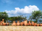 Copal trees and pots. © 2026 Carlene Fowlkes