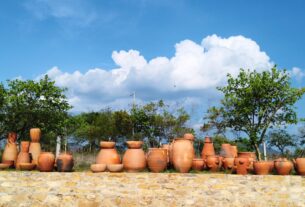 Copal trees and pots. © 2026 Carlene Fowlkes