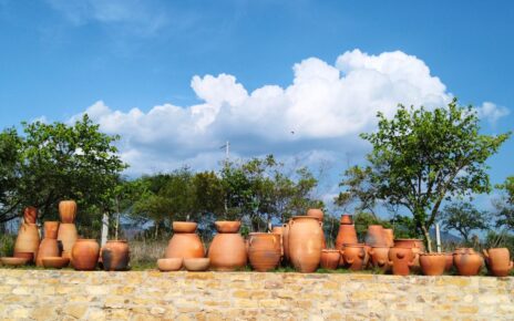 Copal trees and pots. © 2026 Carlene Fowlkes