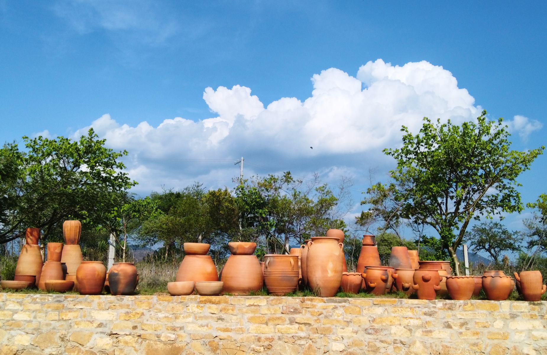 Copal trees and pots. © 2026 Carlene Fowlkes