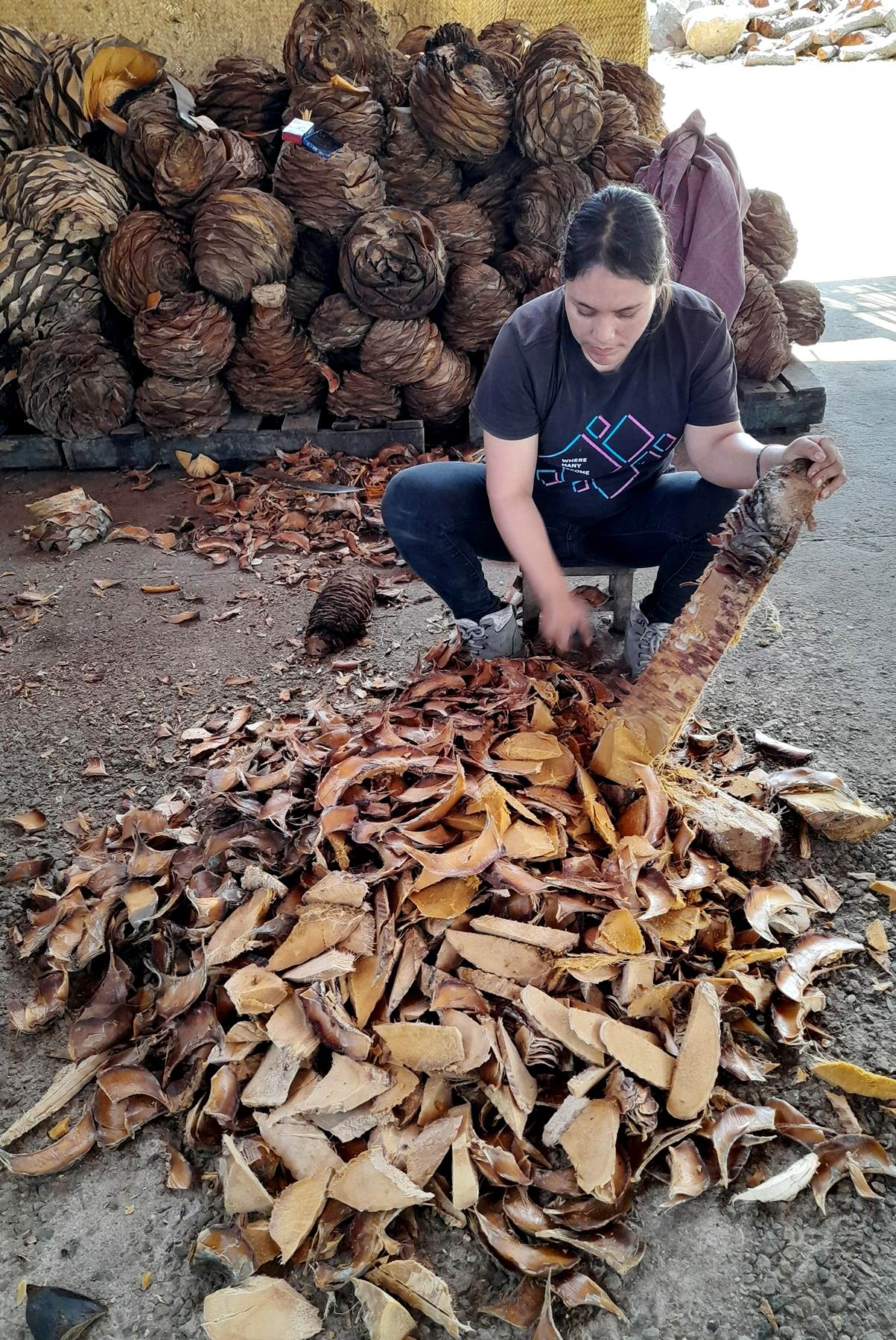 Rosario Ángeles of Mezcal Rambhá chopping sweet baked agave readying for hand crushing. © Alvin Starkman, 2025