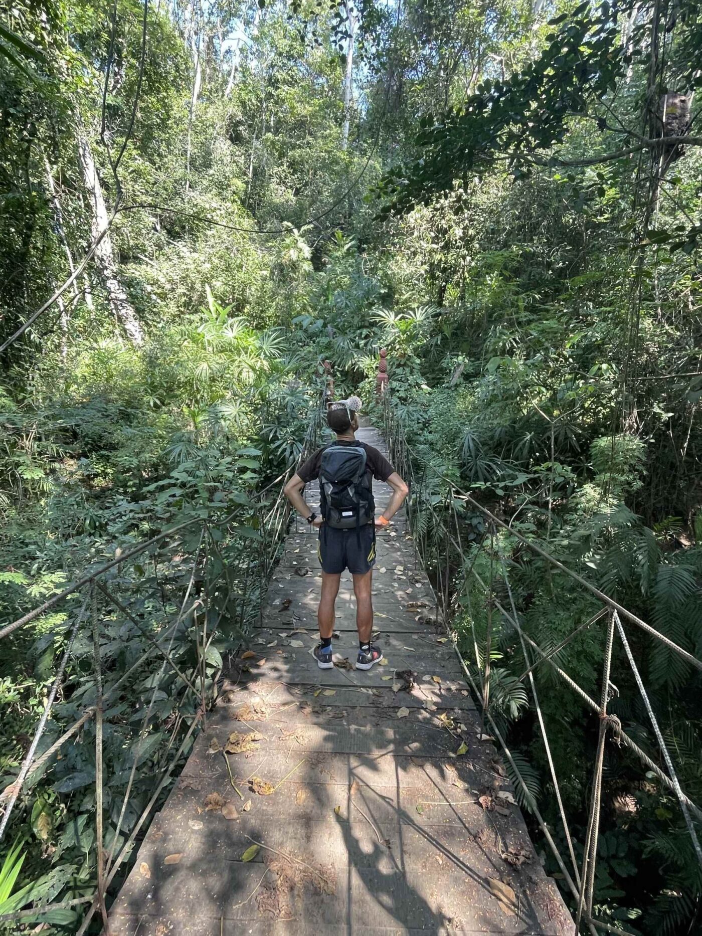 Puerto Vallarta Botanical Garden. © Florence Voller, 2025.