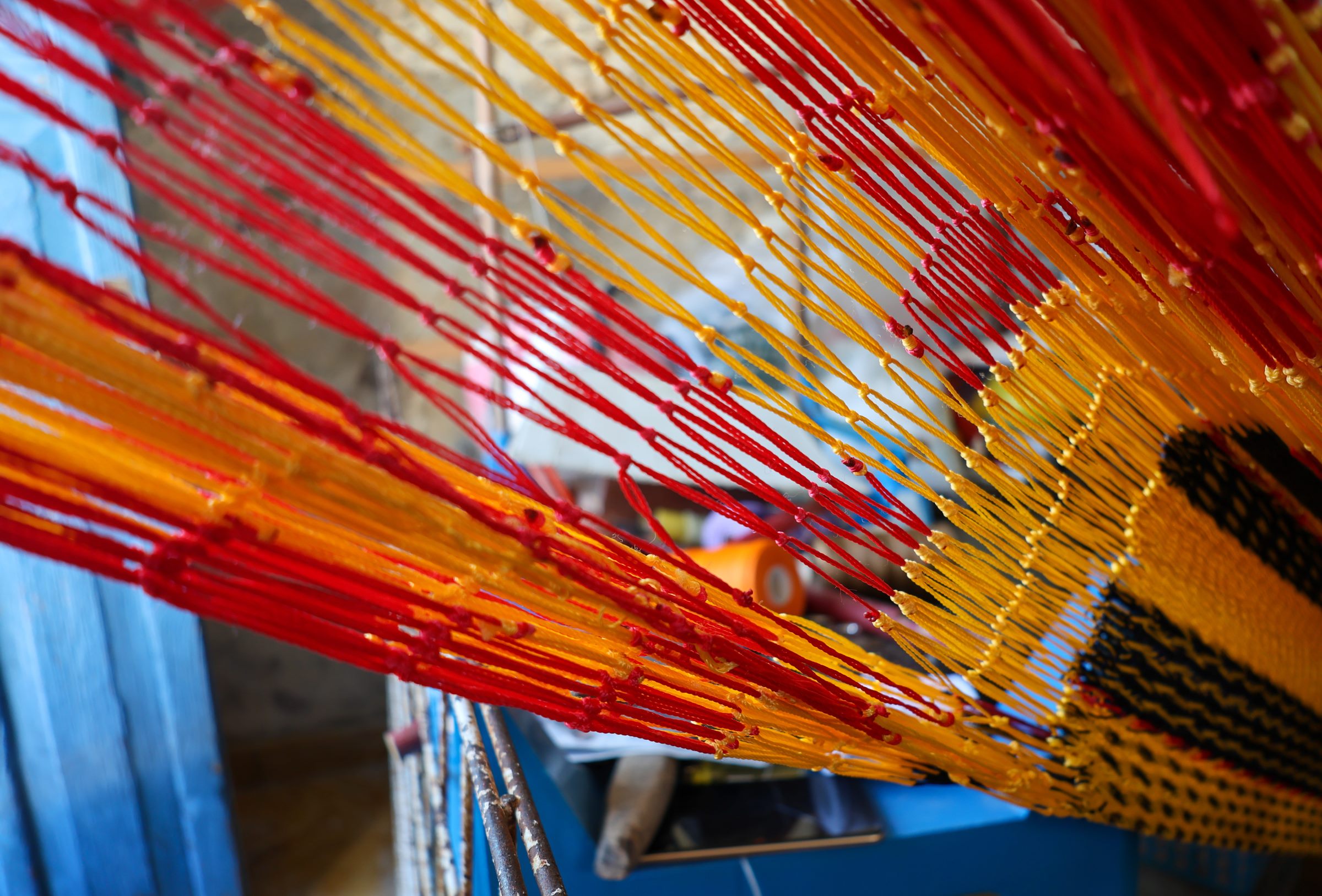 Hammock colors. © 2026 Florence Voller.