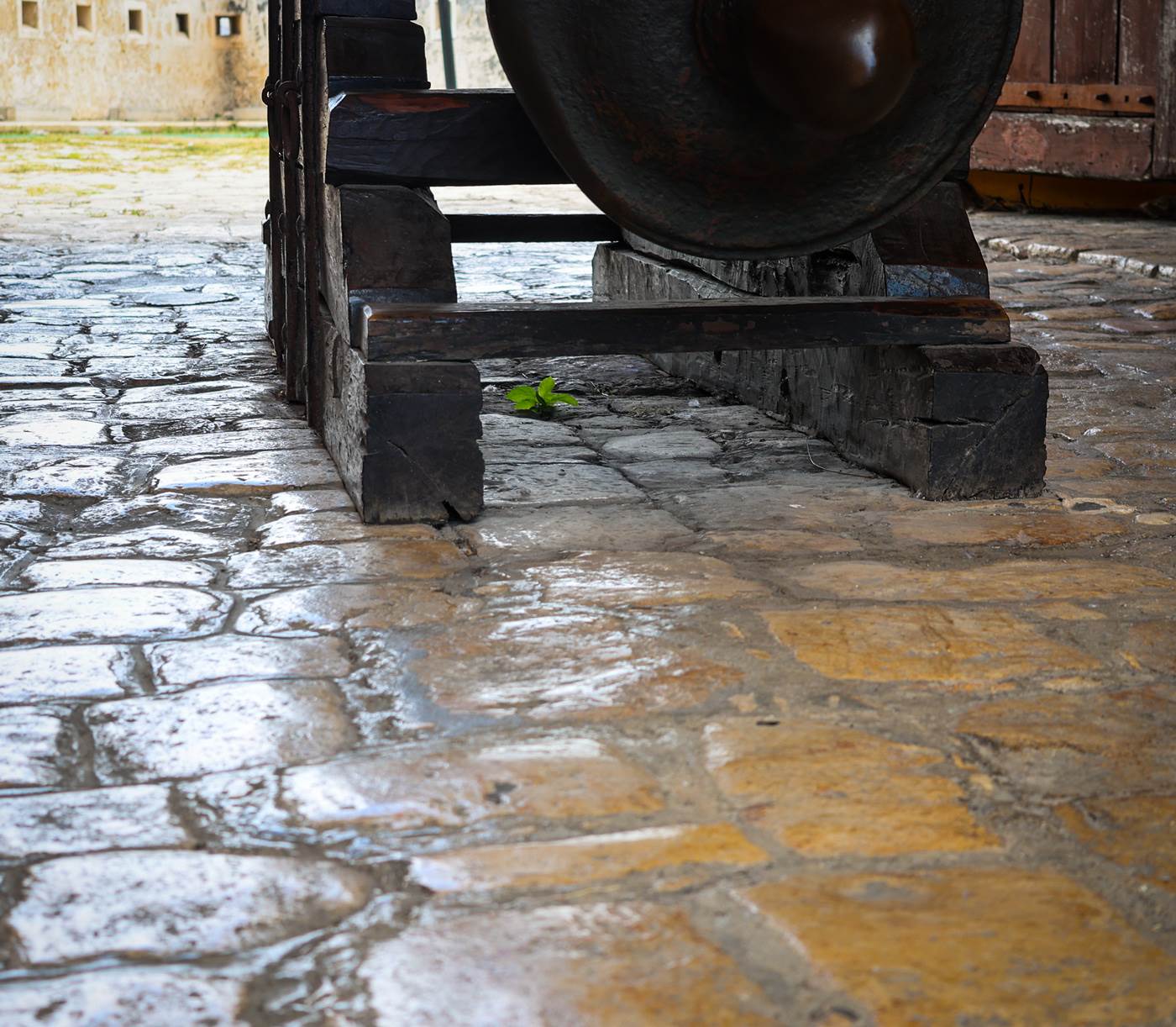 Canon in Capeche. © 2026 Florence Voller.